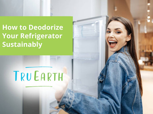 How to Deodorize Your Refrigerator Sustainably