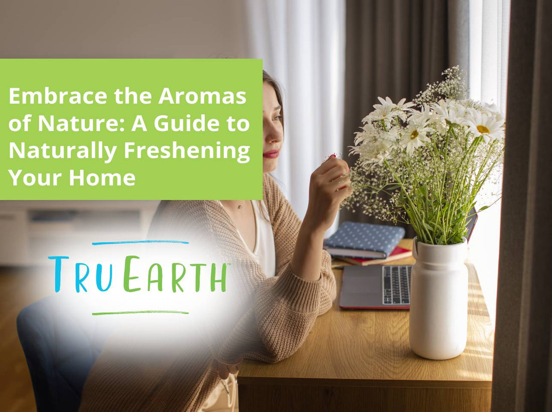 Embrace the Aromas of Nature: A Guide to Naturally Freshening Your Home