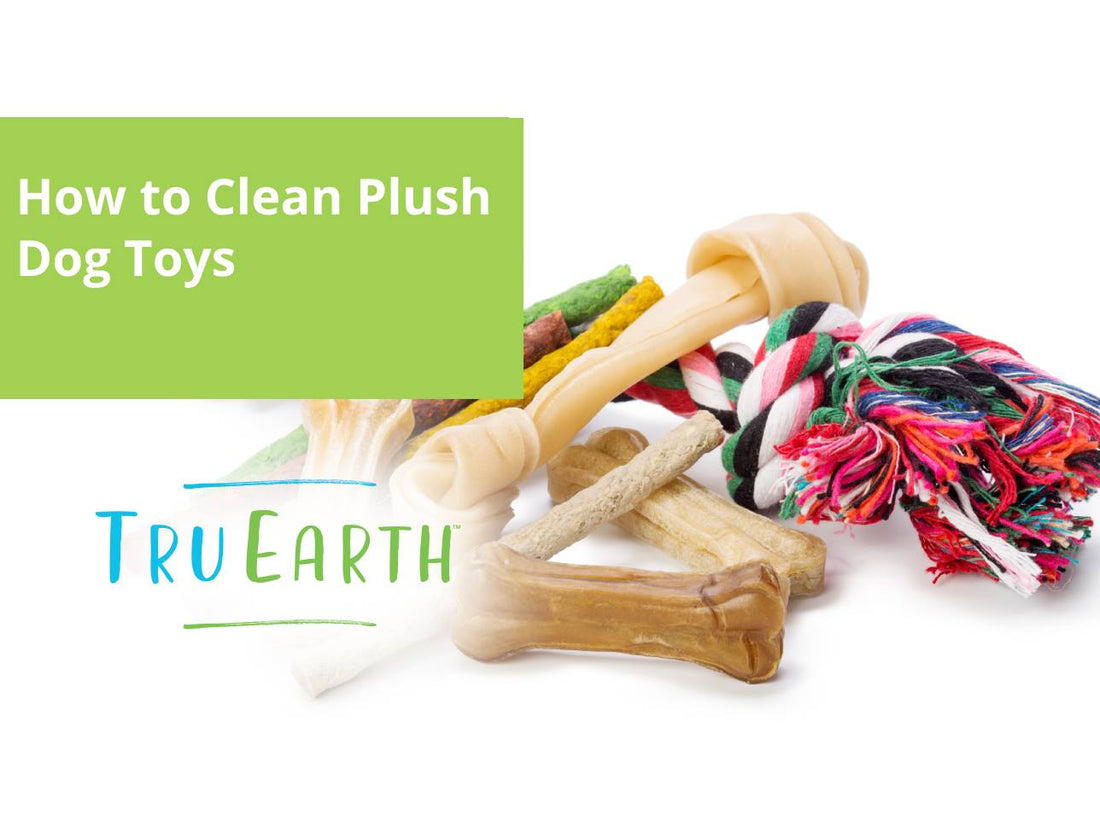 How to Clean Plush Dog Toys