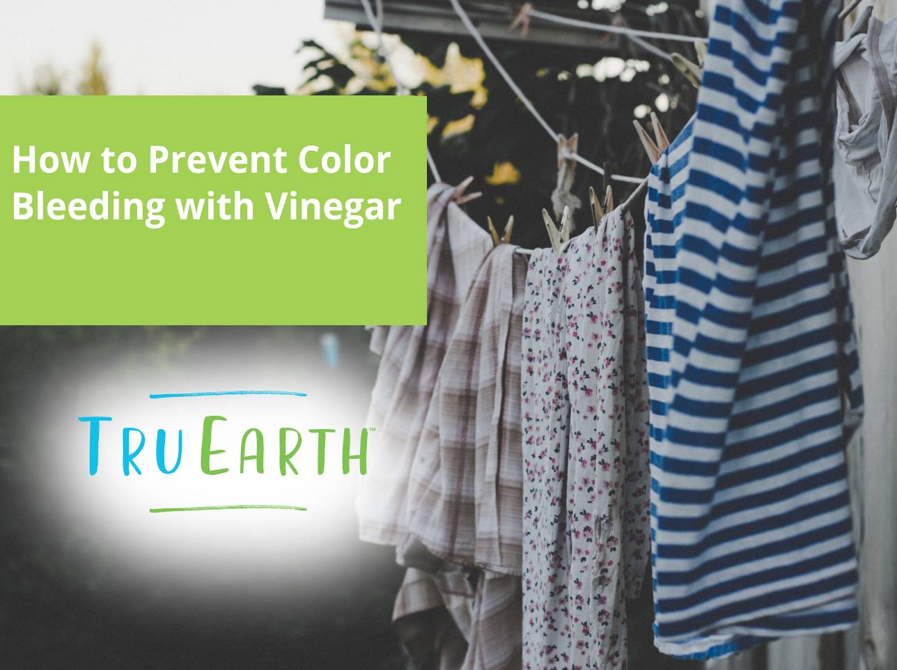 Avoid Using Color For Meaning How to Prevent Color Bleeding with Vinegar – Tru Earth EU