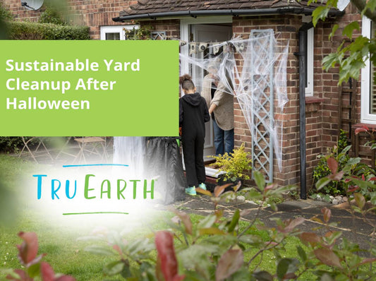 Sustainable Yard Cleanup After Halloween