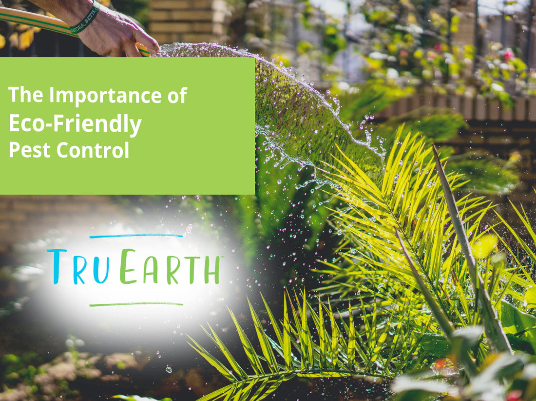 The Importance of Eco-Friendly Pest Control – Tru Earth EU