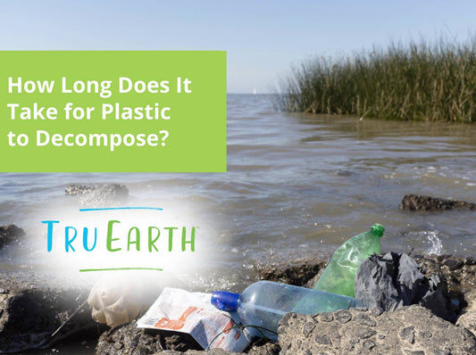 How Long Does It Take for Plastic to Decompose?