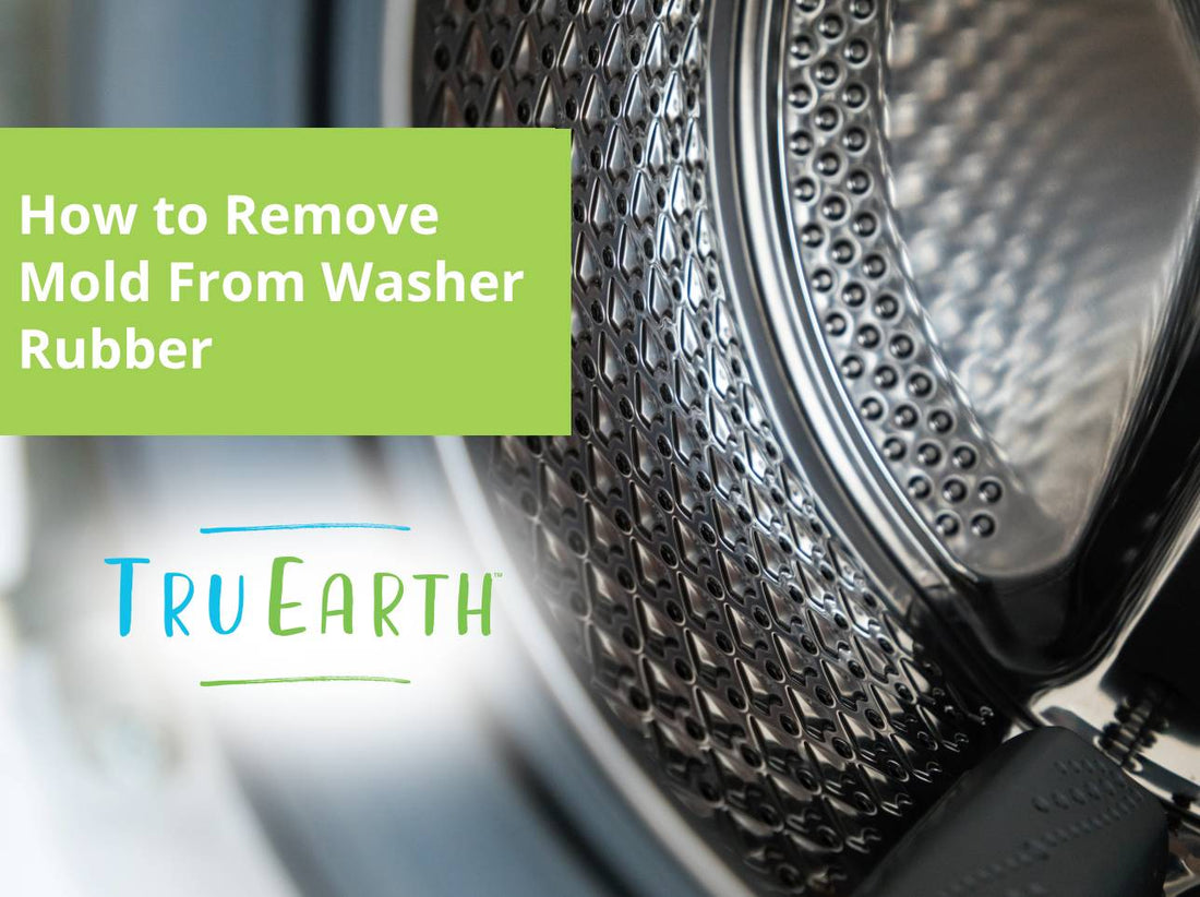 How to Remove Mold From Washer Rubber